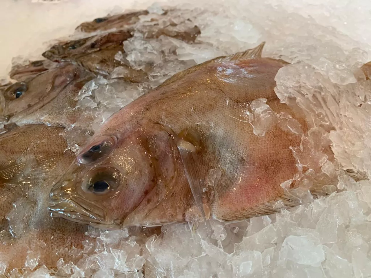 Osez le poisson sur un champagne rosé !